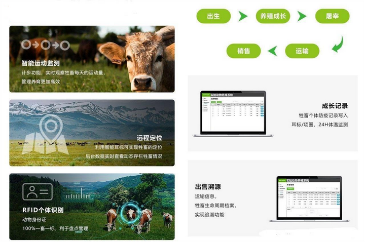 乡村振兴与生态保护的典范，联饶镇古树认养活动引领绿色发展