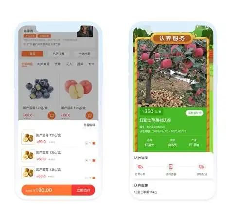 全新“新村民”计划，沙龙村共享认养菜园，助力乡村振兴