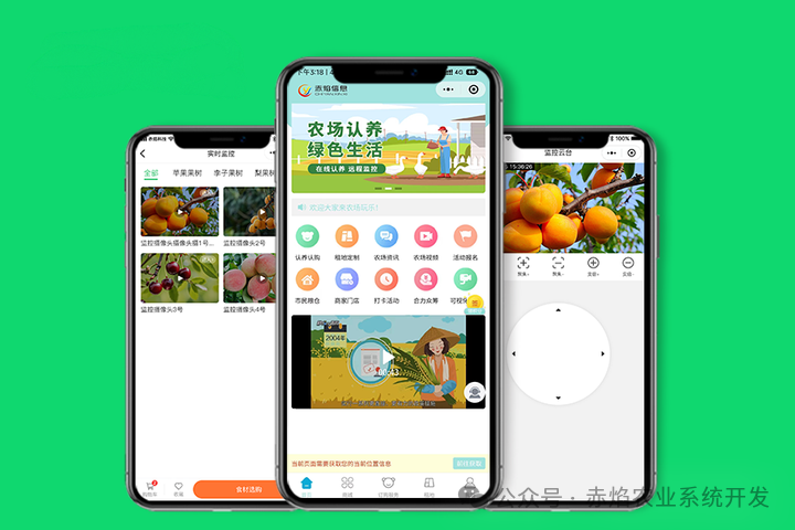 酒庄与旅游的完美结合，洛阳市嵩县某个酒庄开启认养模式