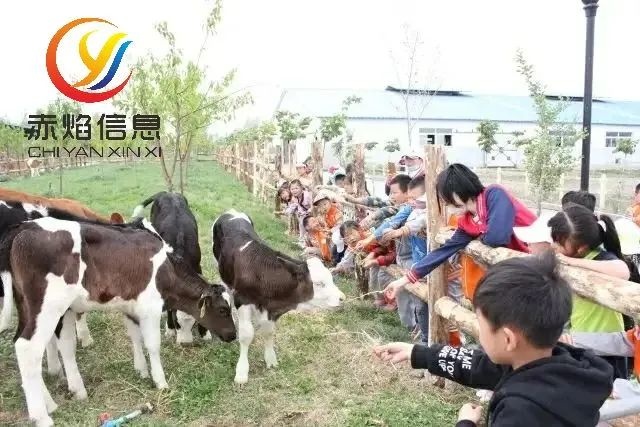 【共享牧场系统】黑山羊认领小程序，让消费者更放心