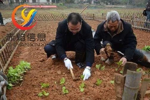 互联网+农业认养/拼团认养，打造全新的互联网农业生态体系