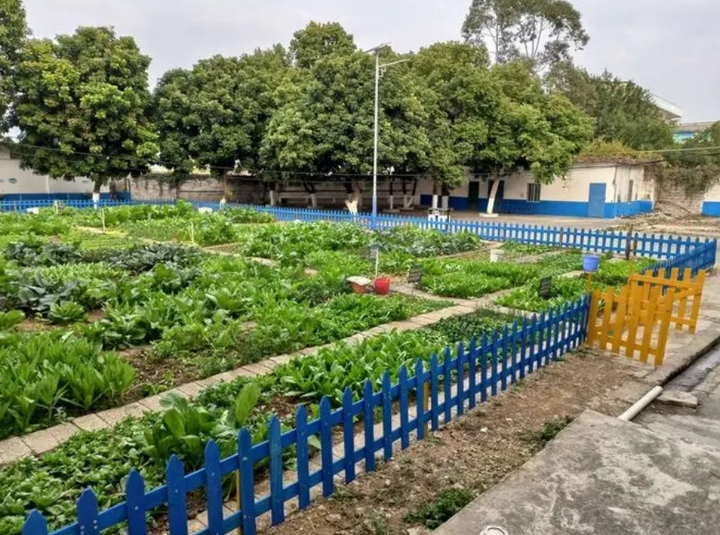 菜地认养模式小程序有什么好处，菜地认养小程序的功能特点是什么？