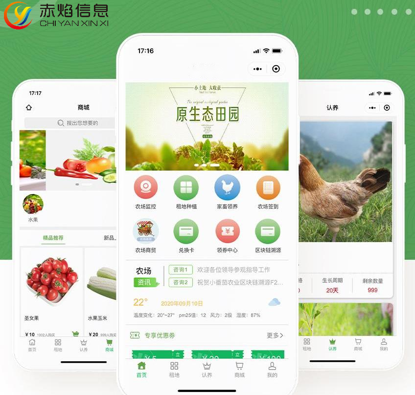 图片11.png