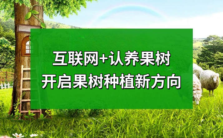 1730683150575188.png 1.png