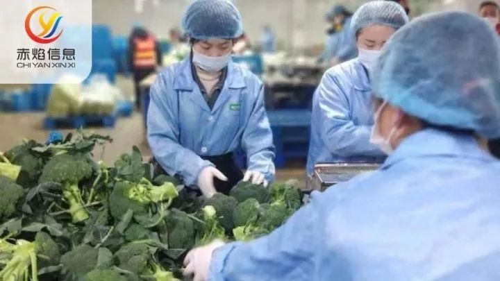 20家主要超市去年关店超800家,超市社区团购数字化转型卓有成效？