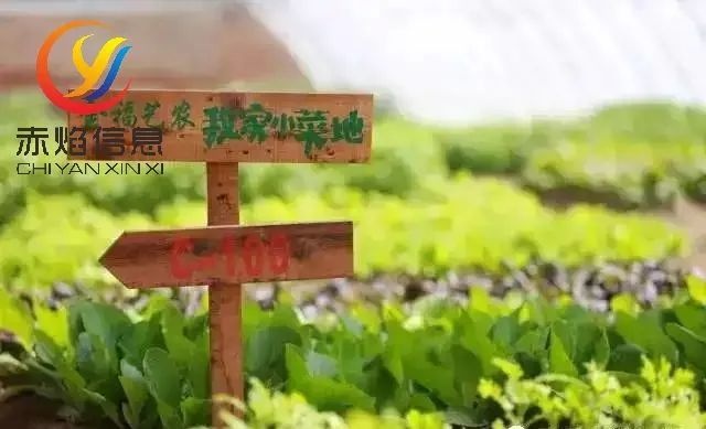 盒马派送认领卡！“认养农业”悄然兴起，新模式备受青睐