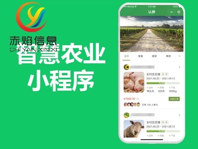 共享农场：以“互联网+农业”为驱动，提高农业质量效益和竞争力