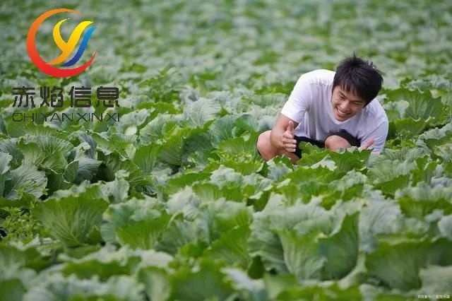 农村闲置资源越来越多，共享农场的盈利点在哪？