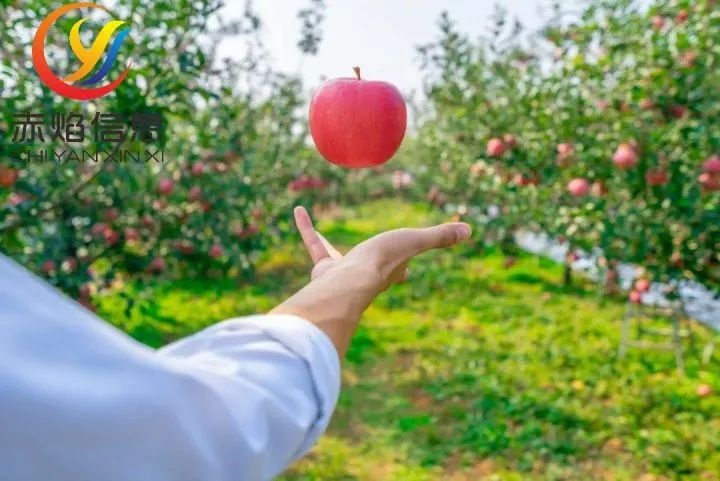 认养模式，农业经济新的增长点，如何做好“认养农业”的营销？