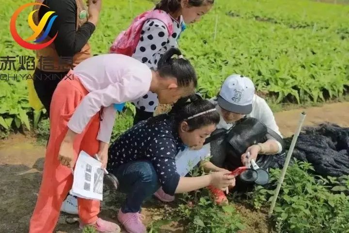 土地认养有哪些骤，共享农场系统助力企业转型？
