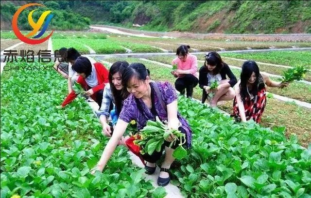 共享农业，仅仅有这几种模式吗？还有没有新的共享可供探索？