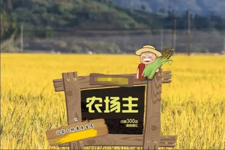 共享农场是怎么产生的？共享农场开发模式有哪几点？