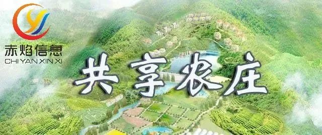 “共享农庄”成为农庄营收的重头戏，“四赢”局面如何受益？