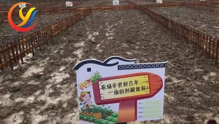 共享农业小程序如何运营好？
