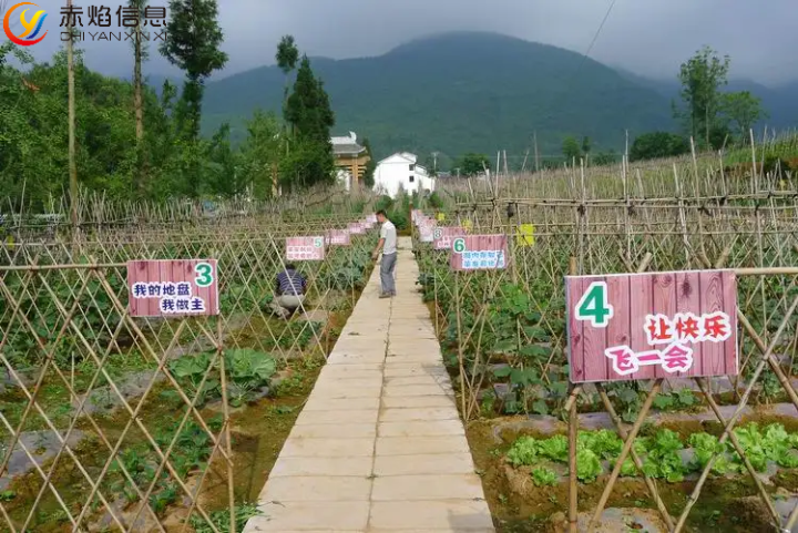 【认养农业】认养模式新扩展，农旅结合是大势所趋？