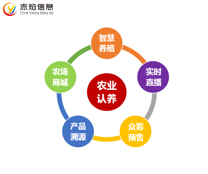 朝阳镇竹苑水乡,探寻果园背后的财富机遇,柑橘树认养引爆新经济